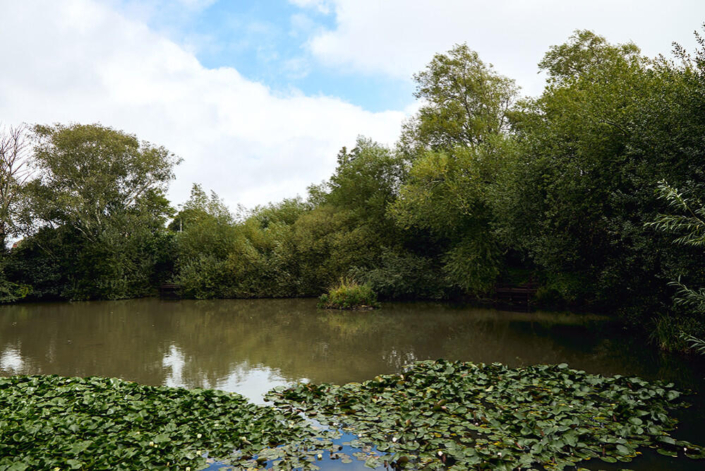 Holiday lodges for sale at Spindlewood Park, Hastings, East Sussex