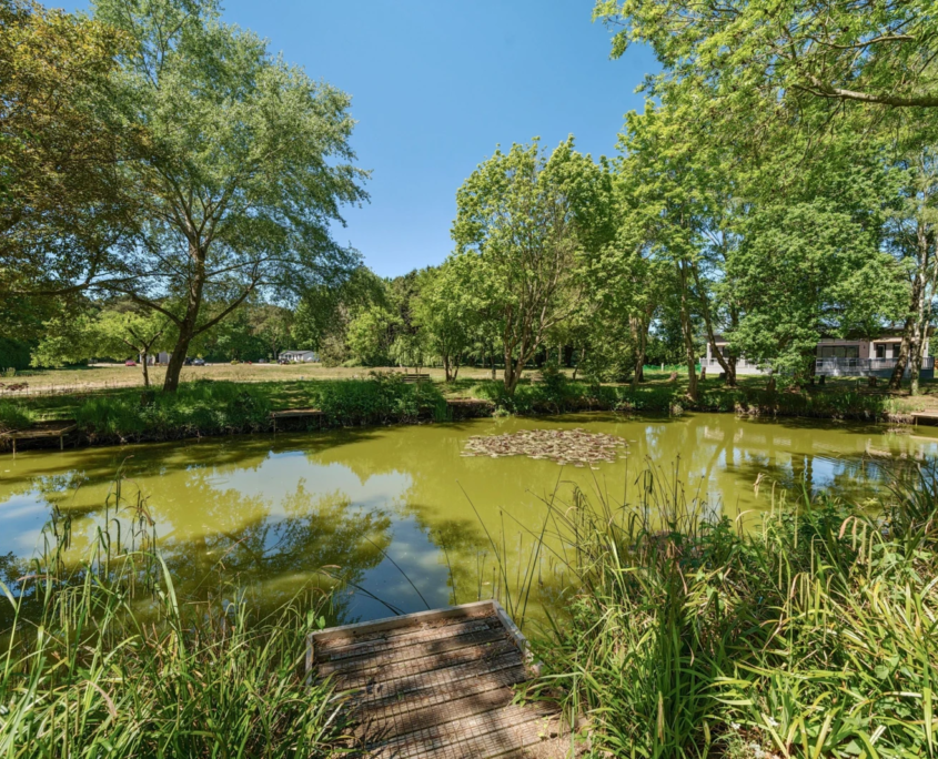 Residential Park Homes for sale at Forest Edge Court, Thetford, Norfolk