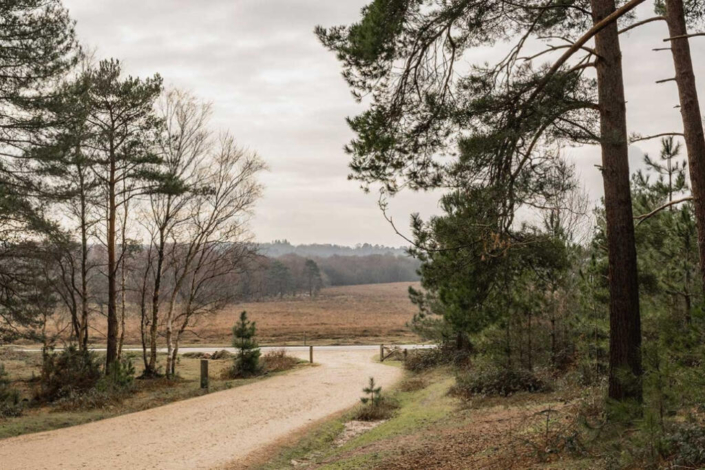 Residential Park Homes for sale at New Forest Park, Southampton, Hampshire